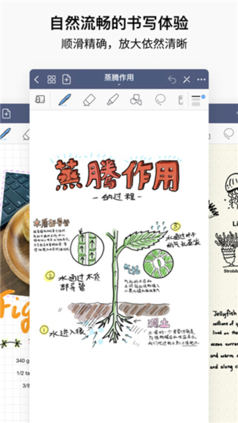 李昀锐关晓彤新剧5月10日开机